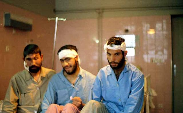 shafighefakeh.ir Site (252)