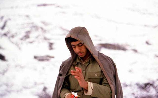 shafighefakeh.ir Site (263)
