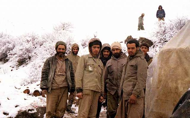 shafighefakeh.ir Site (270)
