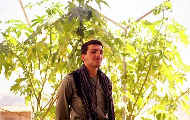 shafighefakeh.ir Site (301)