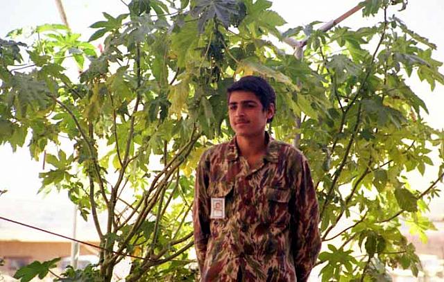shafighefakeh.ir Site (320)