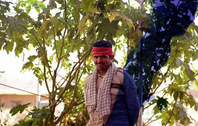 shafighefakeh.ir Site (322)