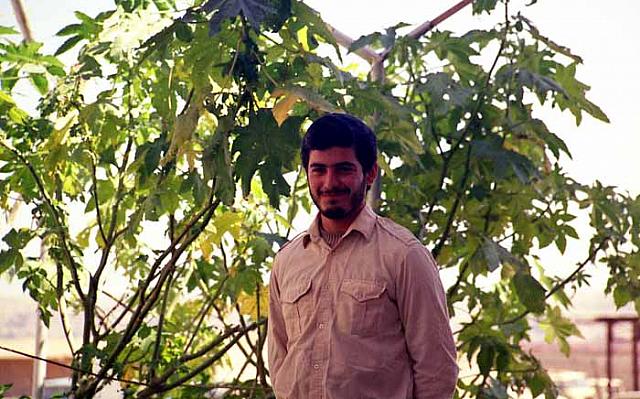 shafighefakeh.ir Site (419)