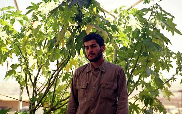 shafighefakeh.ir Site (423)