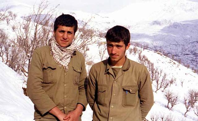 shafighefakeh.ir Site (51)