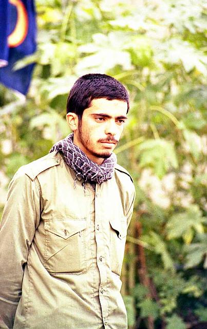 shafighefakeh.ir Site (540)