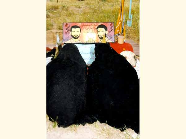 tafahos-(13)