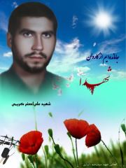 shahid (126)