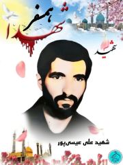 shahid (133)