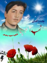 shahid (153)