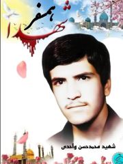 shahid (165)