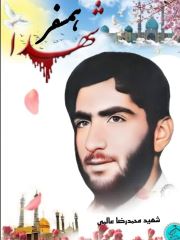 shahid (170)