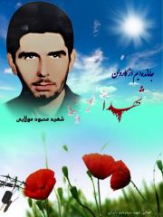 shahid (180)