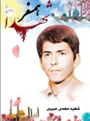 shahid (181)