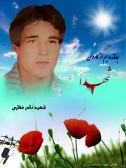 shahid (182)