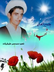 shahid (195)