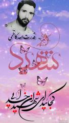 shahid (28)