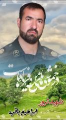 shahid (46)