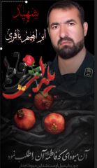 shahid (49)