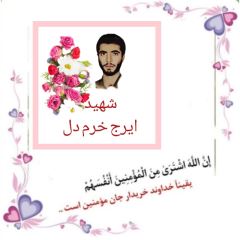 shahid (64)