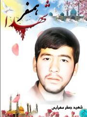 shahid (66)