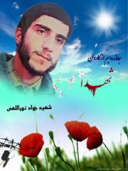 shahid (68)