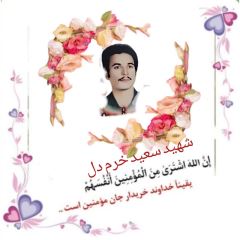 shahid (97)