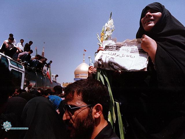 azadeh (8)