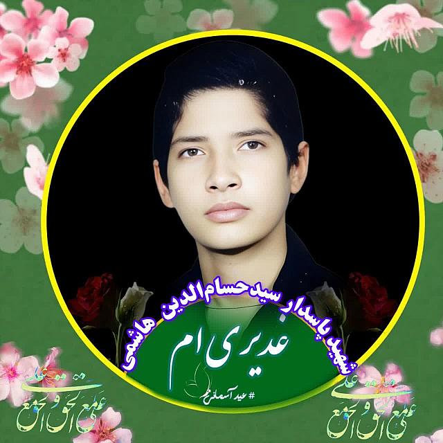 شهید حسام الدین هاشمی (5)
