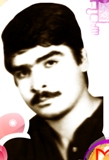 6537365