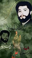 shahid313 (153)