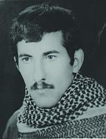 fazli