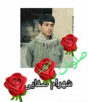 آلبوم اختصاصی تصاویر شهید شهرام صفایی . کد 140282145237 آ