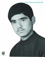 heydari10