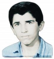 alizadeh