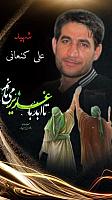 shahid313 (208)