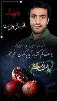 shahid313 (222)
