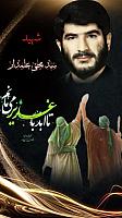 shahid313 (231)