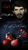 shahid313 (98)