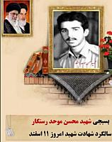 shshidmohsen