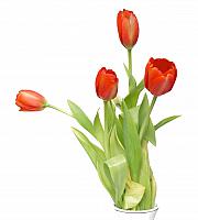 آلبوم اختصاصی شهید  . کد 1401271241 آ