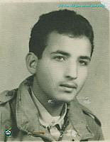 habibzadeh