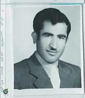 alizadeh4