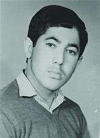 tabari