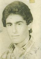 sefi8