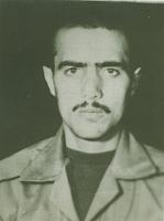 alizadeh2