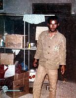 razmandegan (324)