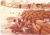 razmandegan (499)