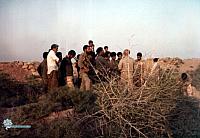 razmandegan (594)