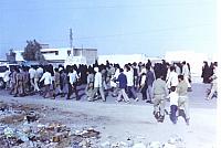 razmandegan (617)